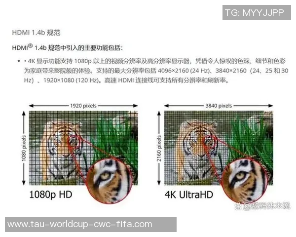 英语足球的魅力与文化探讨及其在全球的影响力分析